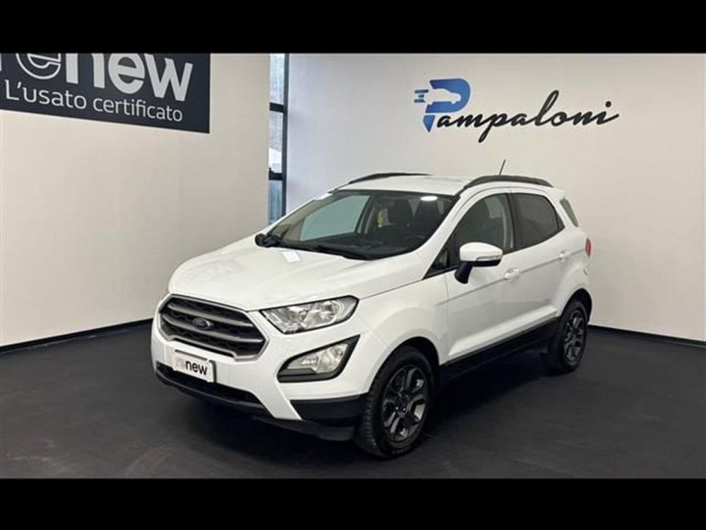 Ford EcoSport usata a Siena (2)