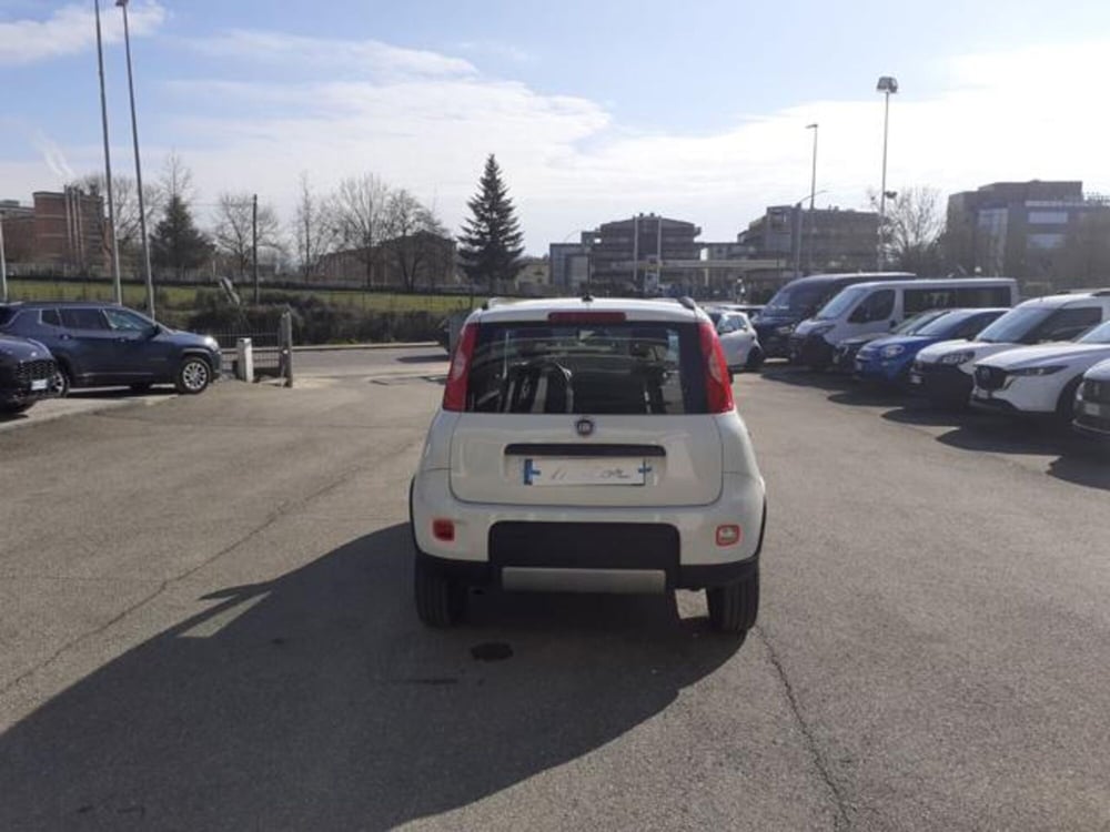 Fiat Panda usata a Firenze (5)