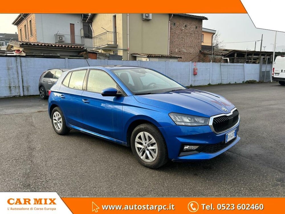 Skoda Fabia usata a Piacenza (3)