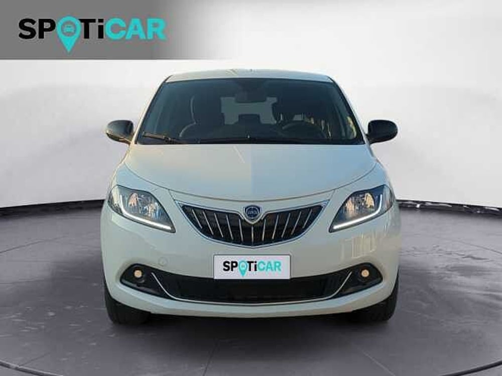 Lancia Ypsilon usata a Treviso (2)