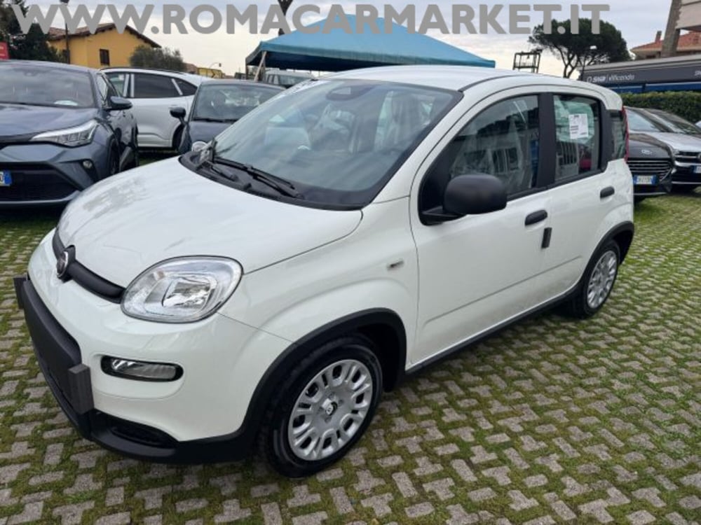 Fiat Panda nuova a Roma (12)