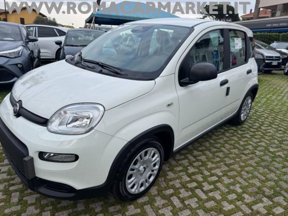 Fiat Panda nuova a Roma (2)