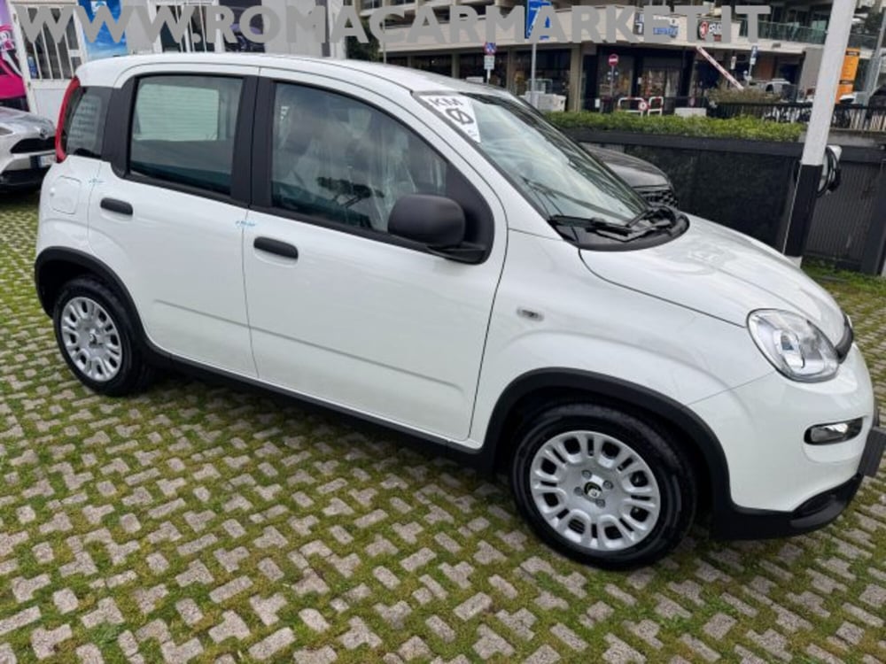 Fiat Panda nuova a Roma (4)