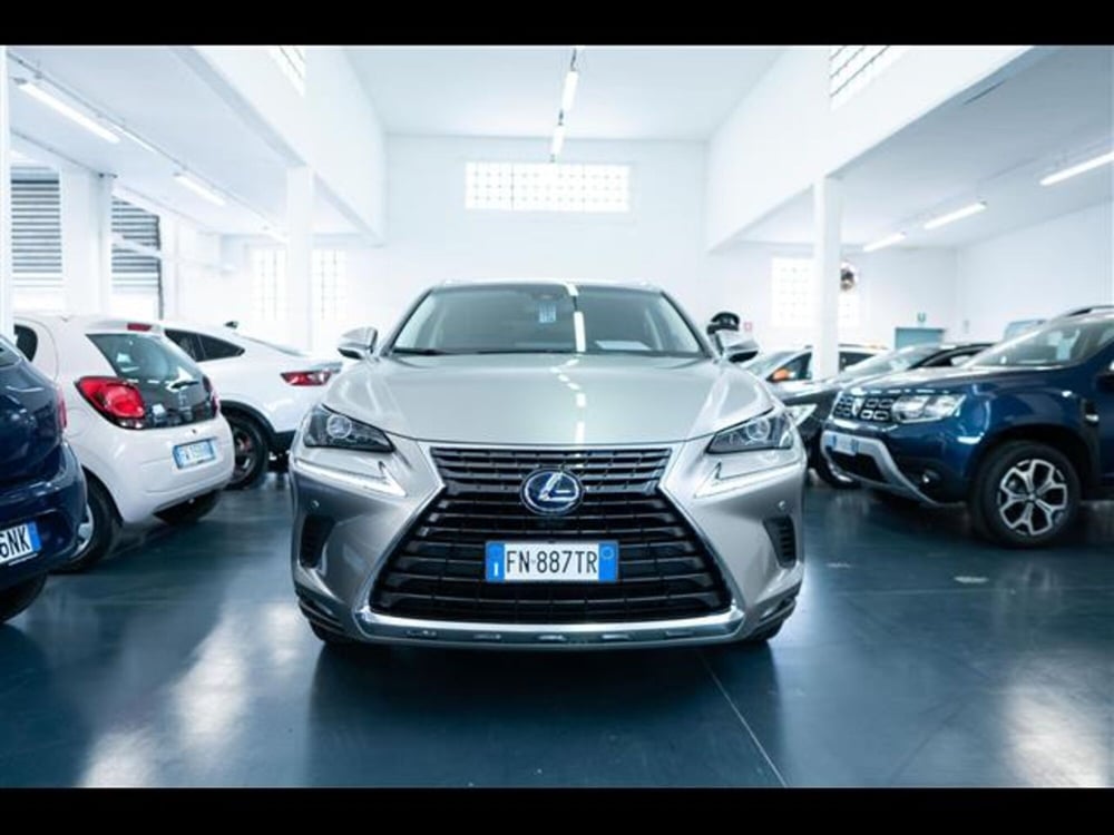 Lexus NX usata a Torino (4)