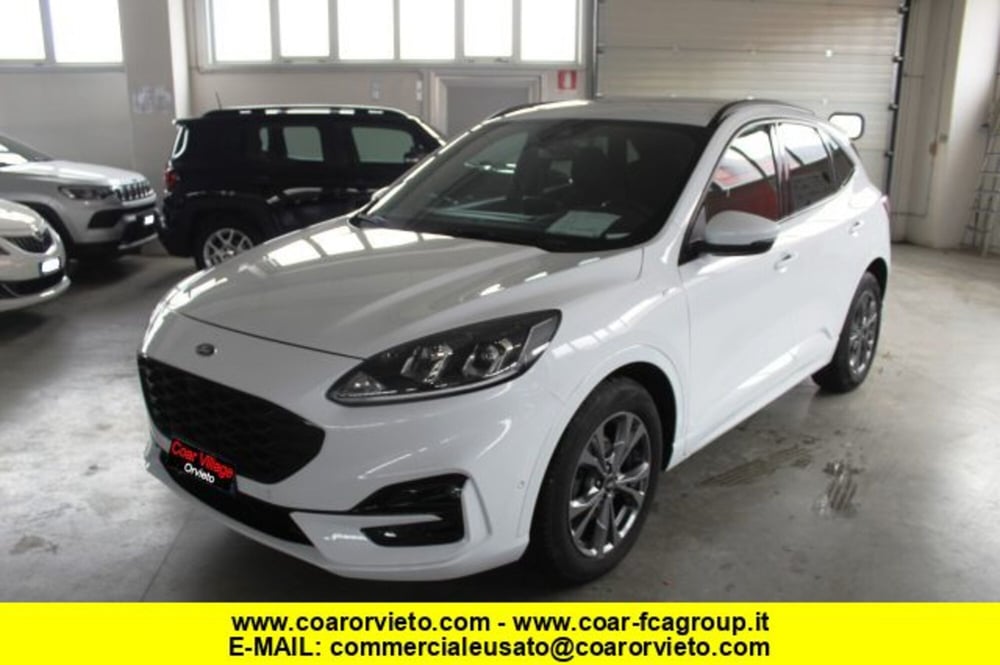 Ford Kuga usata a Terni