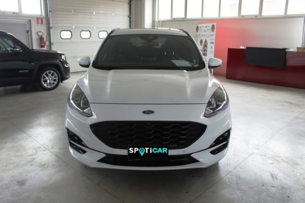 Ford Kuga usata a Terni (2)