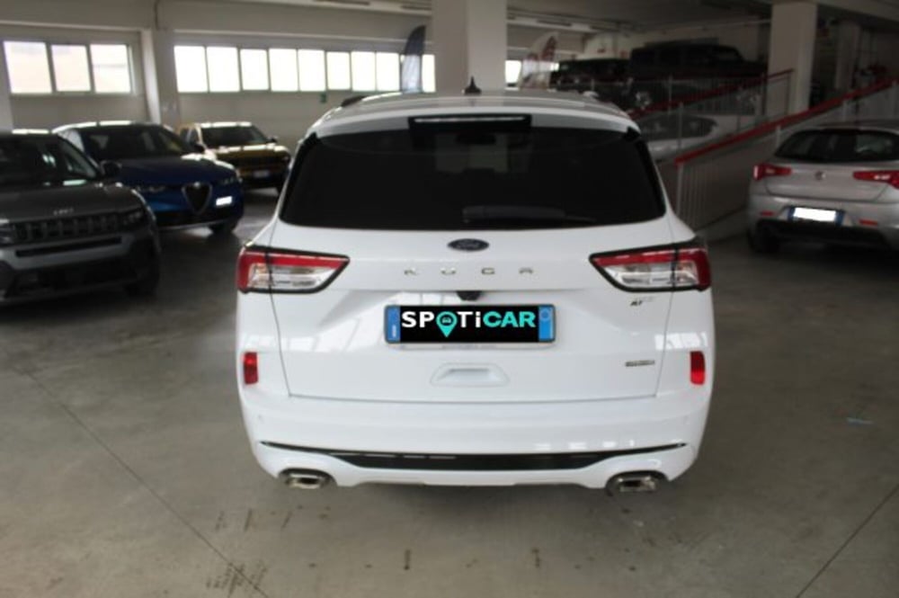 Ford Kuga usata a Terni (5)