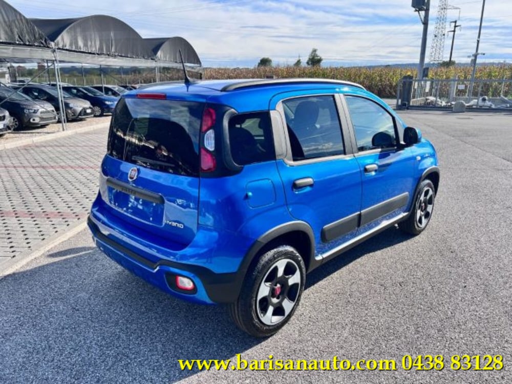 Fiat Panda Cross usata a Treviso (3)