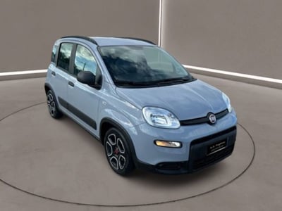 Fiat Panda 1.0 FireFly S&amp;S Hybrid City Cross  del 2021 usata a Caltanissetta