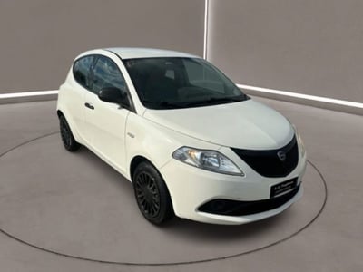 Lancia Ypsilon 1.2 69 CV 5 porte GPL Ecochic Alberta Ferretti del 2018 usata a Caltanissetta