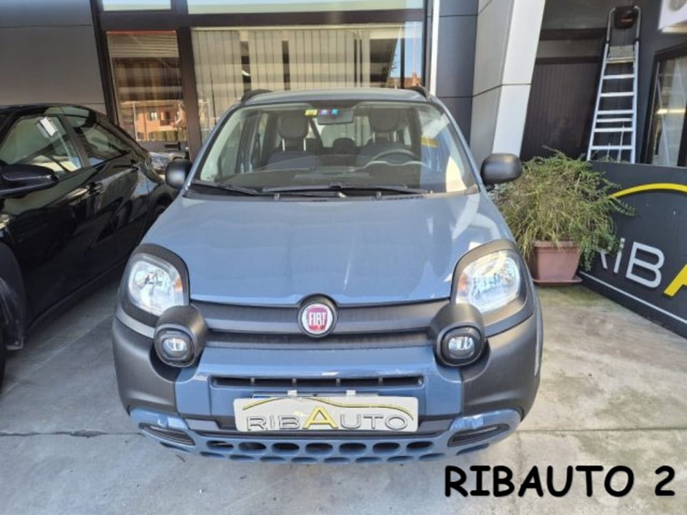 Fiat Panda Cross usata a Cuneo (12)