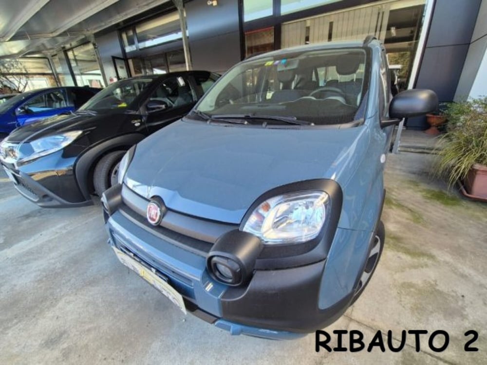 Fiat Panda Cross usata a Cuneo (14)