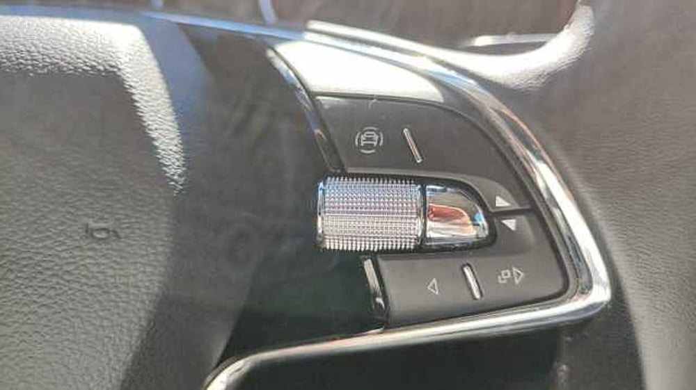 Skoda Kamiq usata a Firenze (9)