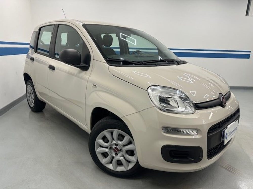 Fiat Panda usata a Prato (3)