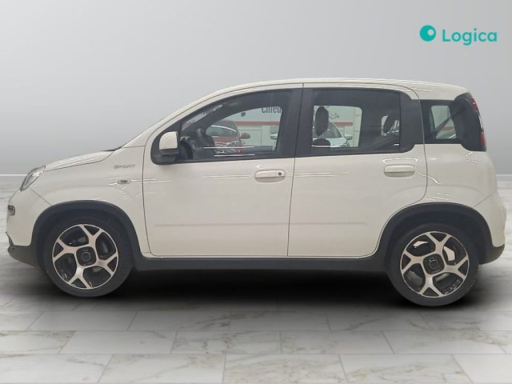 Fiat Panda usata a Torino (3)