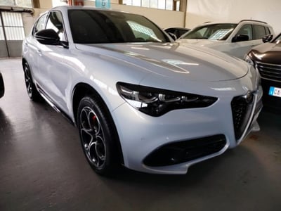 Alfa Romeo Stelvio Stelvio 2.2 Turbodiesel 210 CV AT8 Q4 Veloce  del 2024 usata a Cesena