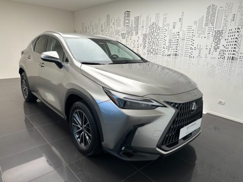 Lexus NX usata a Cuneo (2)