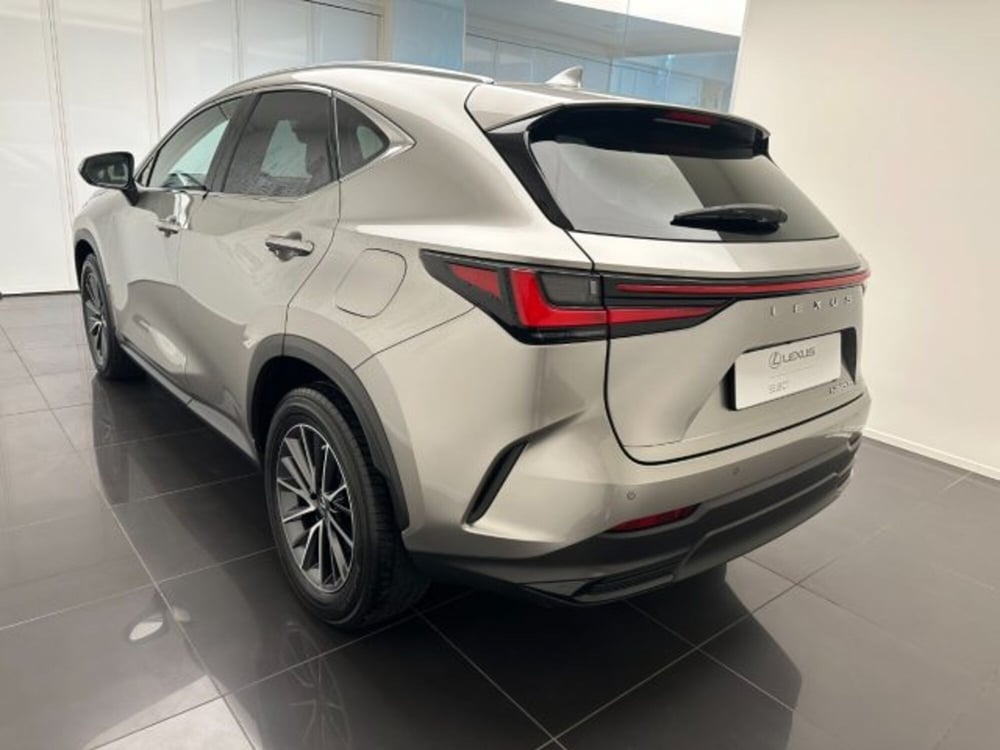 Lexus NX usata a Cuneo (4)