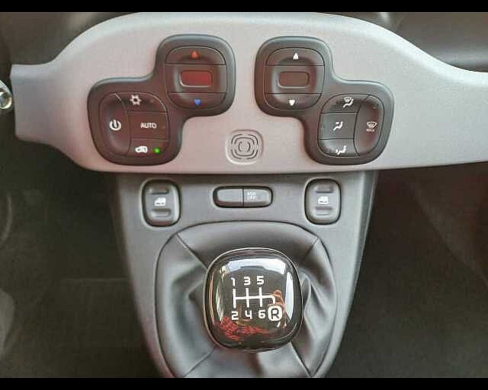 Fiat Panda Cross usata a Venezia (14)