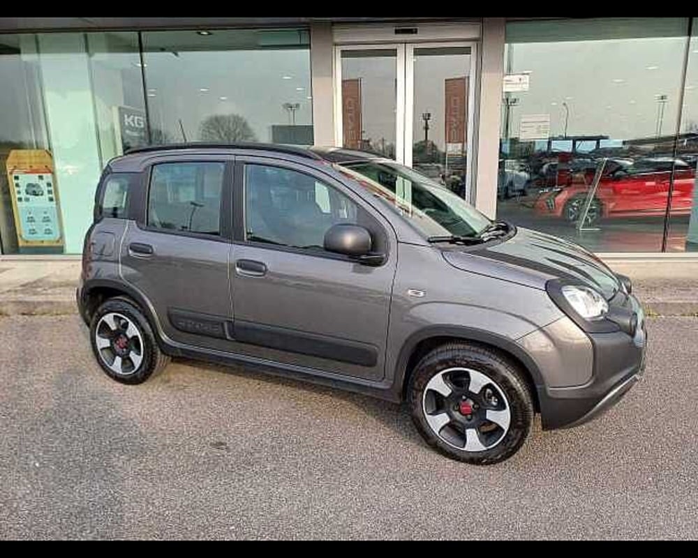 Fiat Panda Cross usata a Venezia (3)