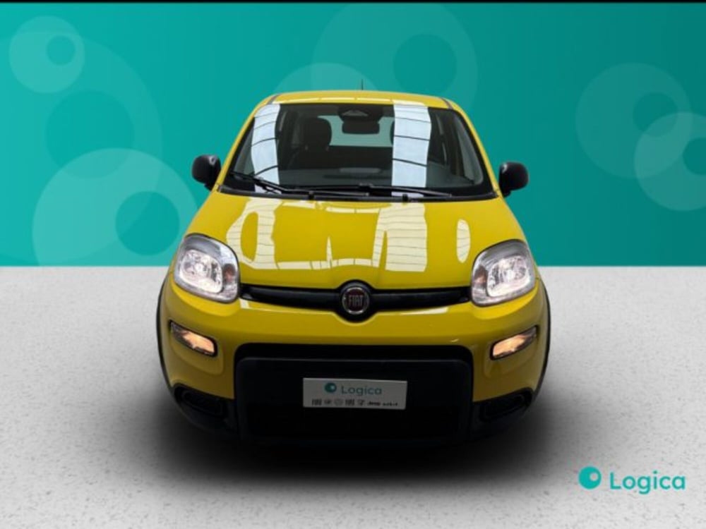Fiat Panda nuova a Biella (2)