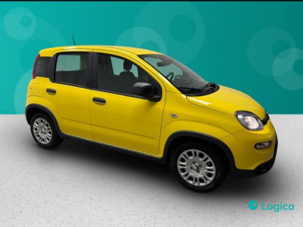 Fiat Panda nuova a Biella (3)