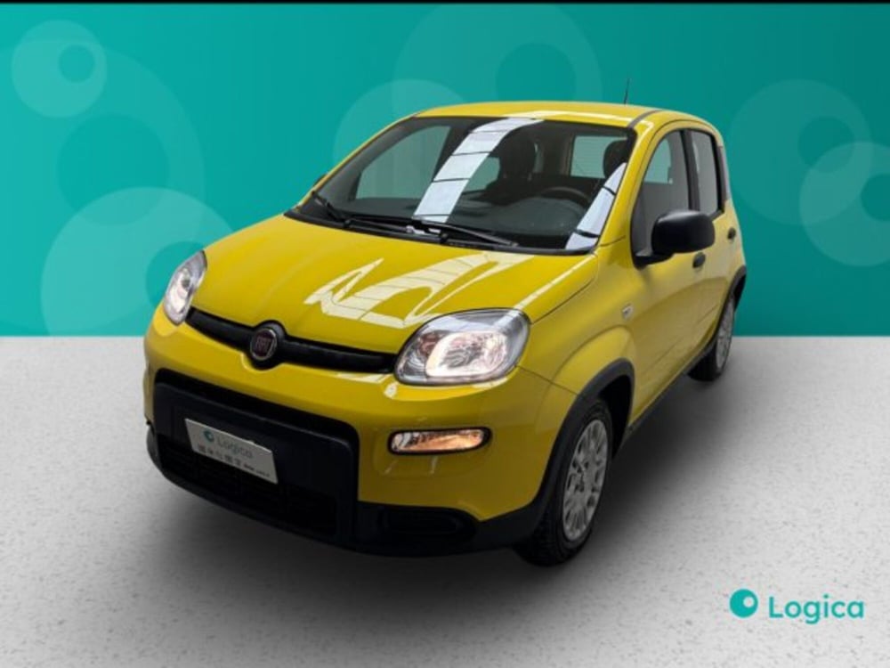 Fiat Panda nuova a Biella (6)