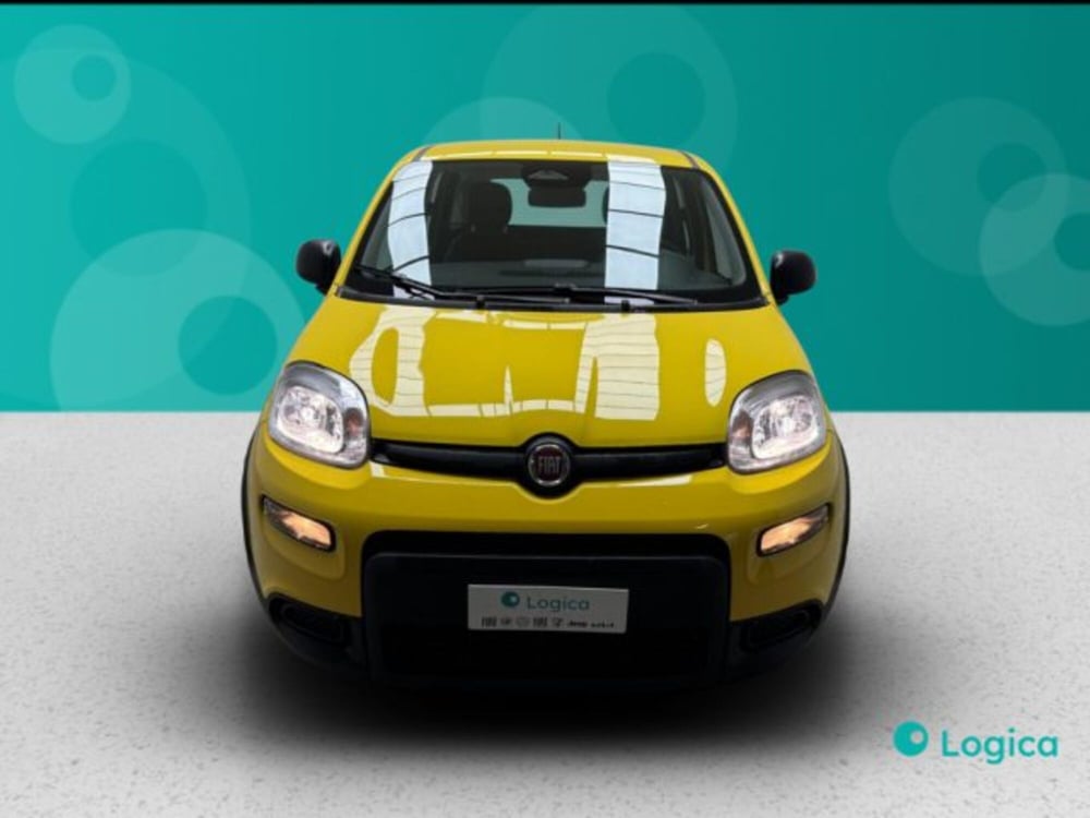 Fiat Panda nuova a Biella (2)