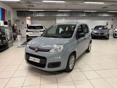 Fiat Panda 1.2 EasyPower Lounge  del 2020 usata a Alessandria