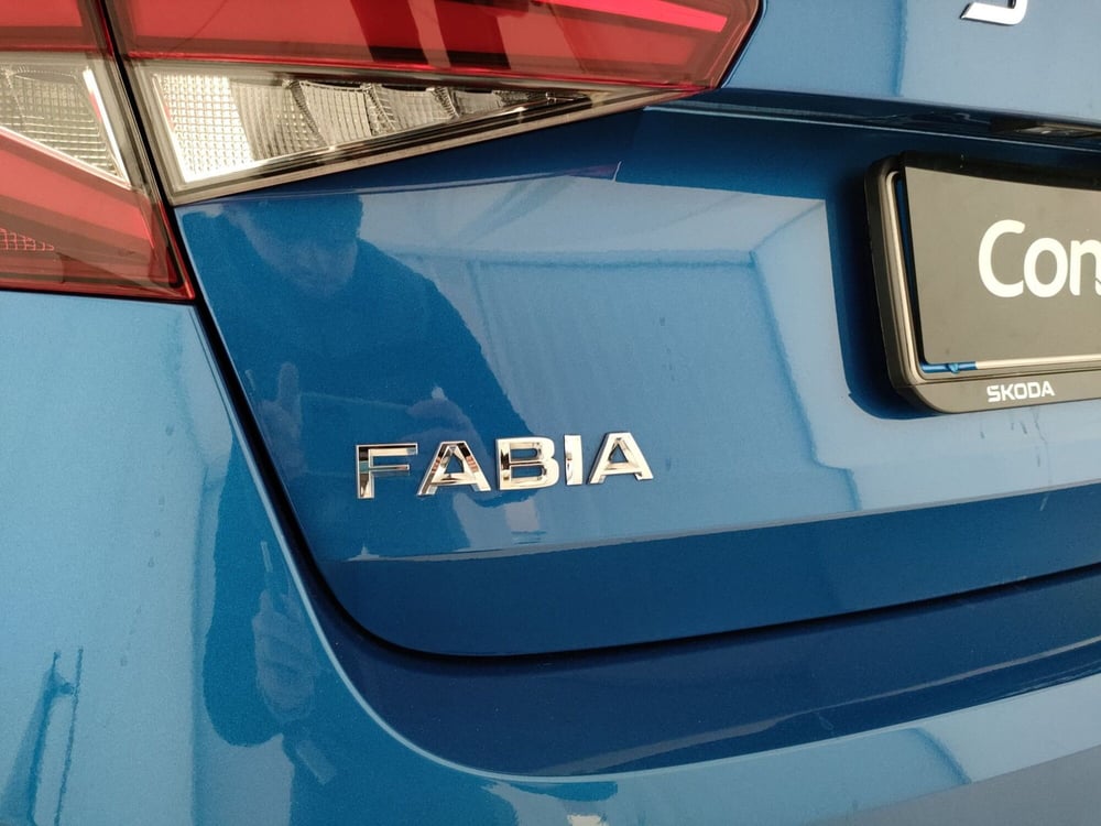 Skoda Fabia usata a Caserta (13)