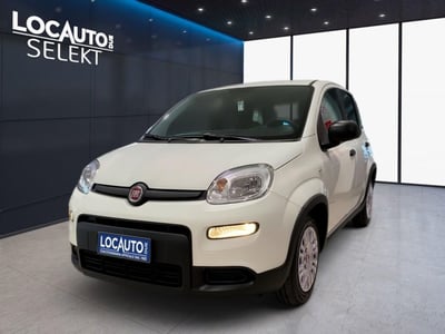 Fiat Panda Cross Cross 1.0 FireFly S&amp;S Hybrid  nuova a Torino