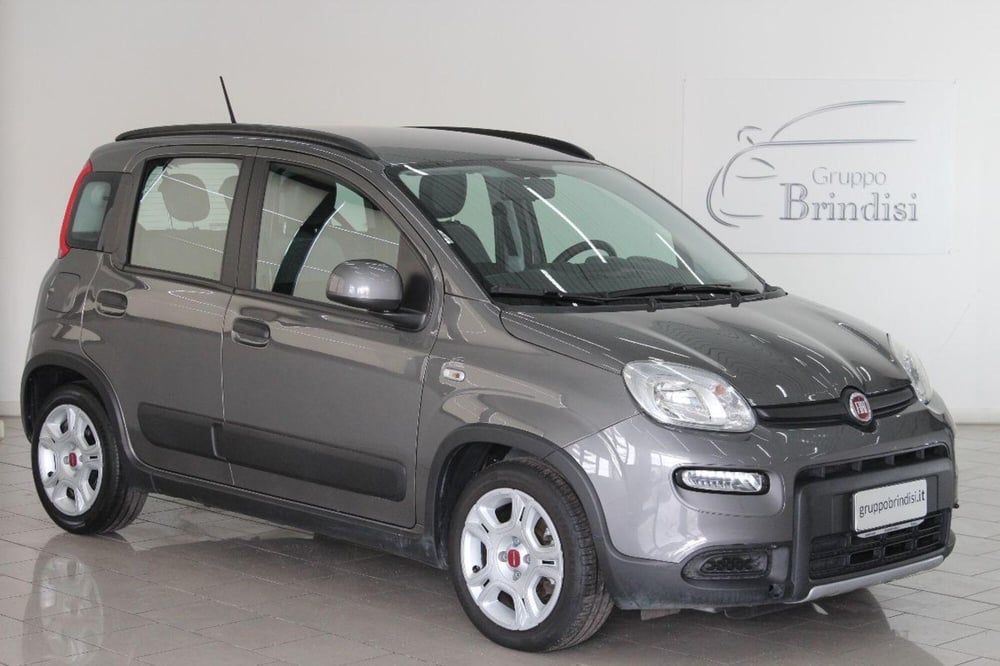 Fiat Panda usata a Potenza