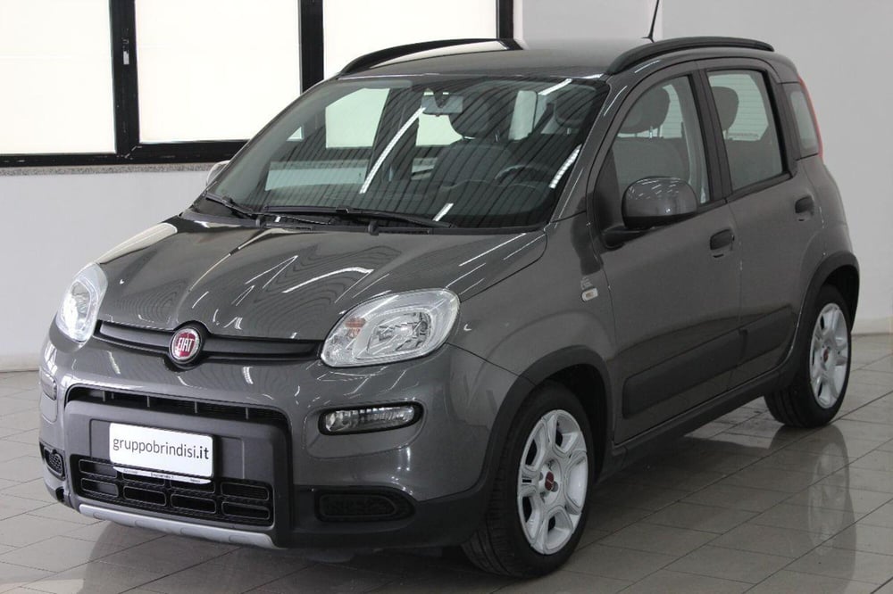 Fiat Panda usata a Potenza (3)