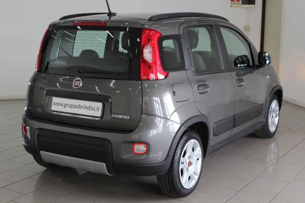 Fiat Panda usata a Potenza (4)