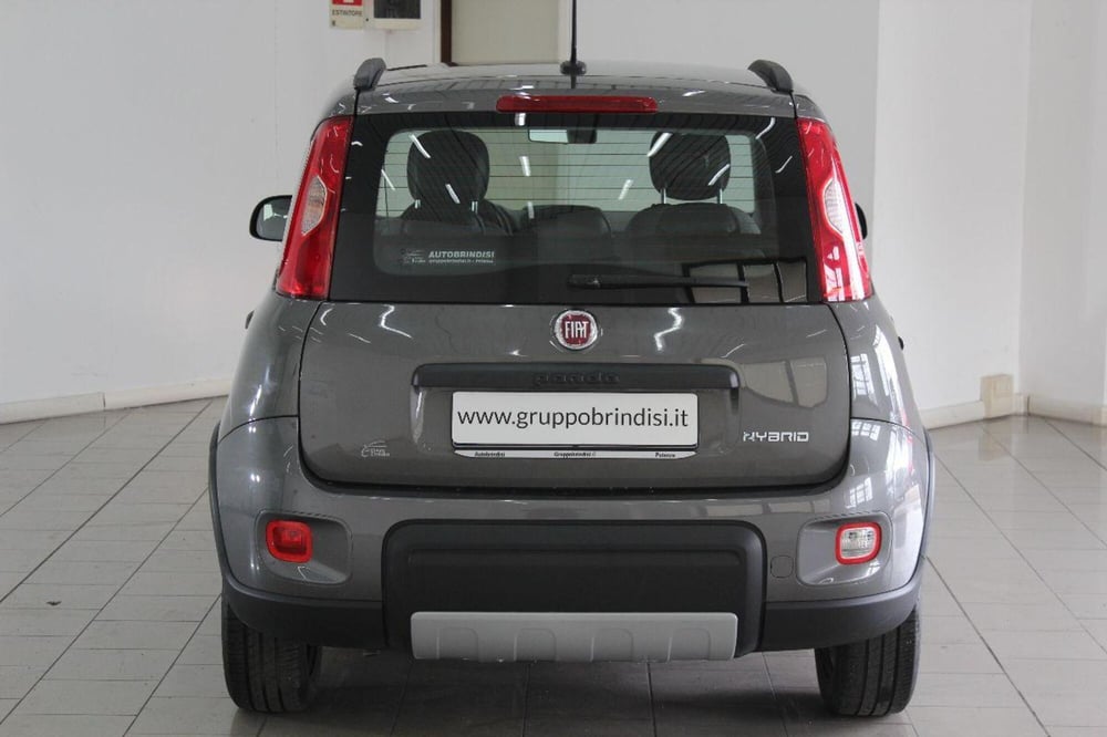 Fiat Panda usata a Potenza (5)