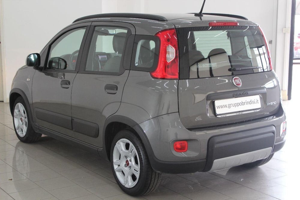 Fiat Panda usata a Potenza (6)