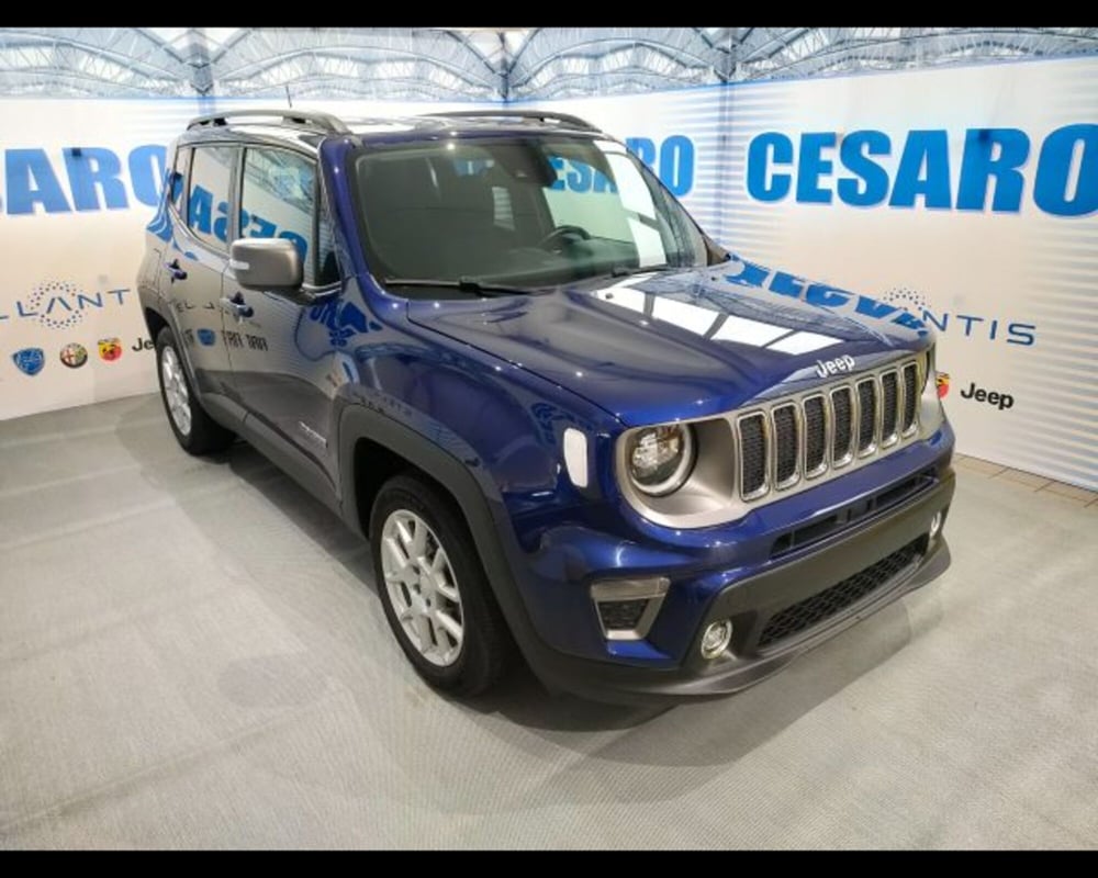 Jeep Renegade usata a Aosta (2)