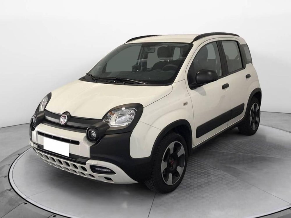 Fiat Panda usata a Torino