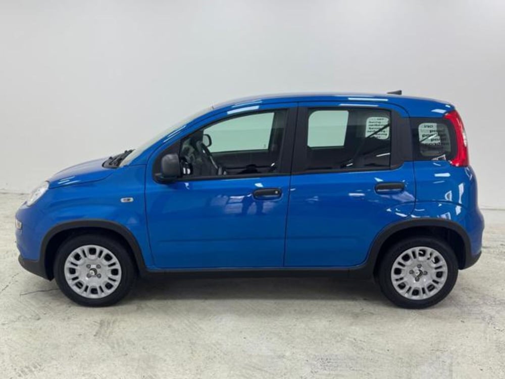 Fiat Panda nuova a Como (8)