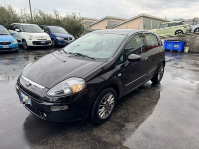 Fiat Punto Evo 1.3 Mjt 75 CV 5 porte Active  del 2011 usata a Macerata