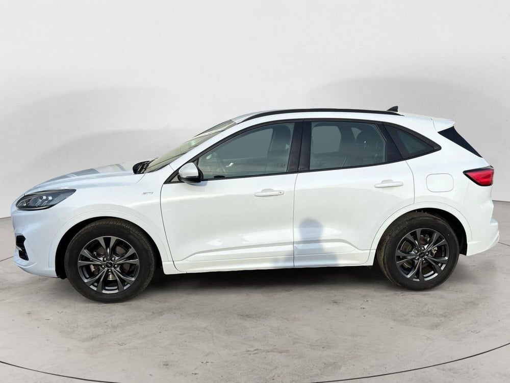 Ford Kuga usata a Bari (5)