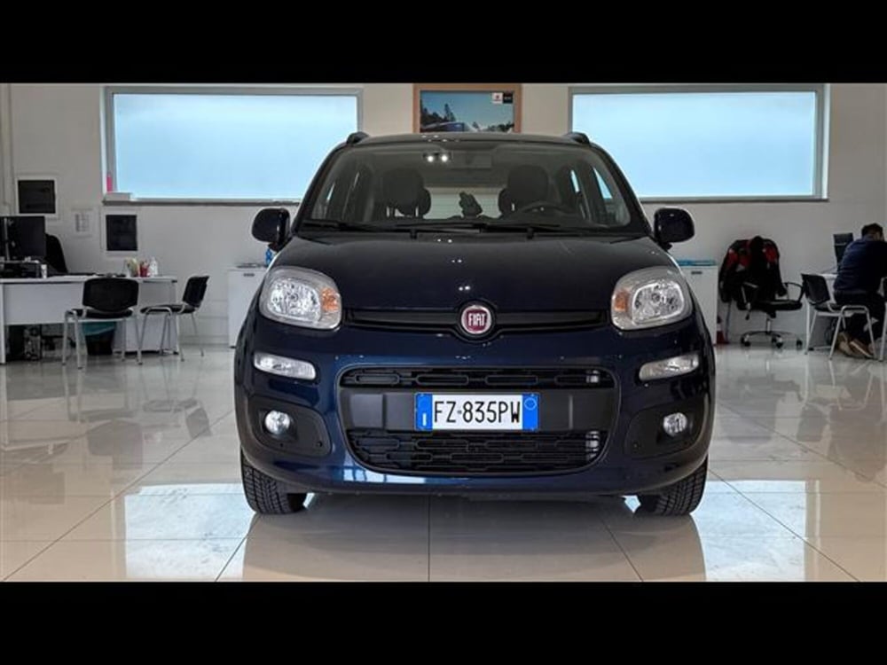 Fiat Panda usata a Viterbo (2)