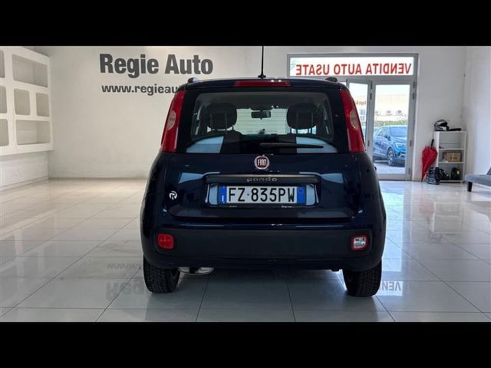 Fiat Panda usata a Viterbo (5)