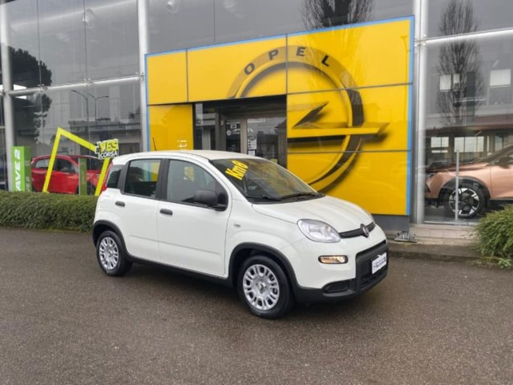 Fiat Panda nuova a Milano (2)