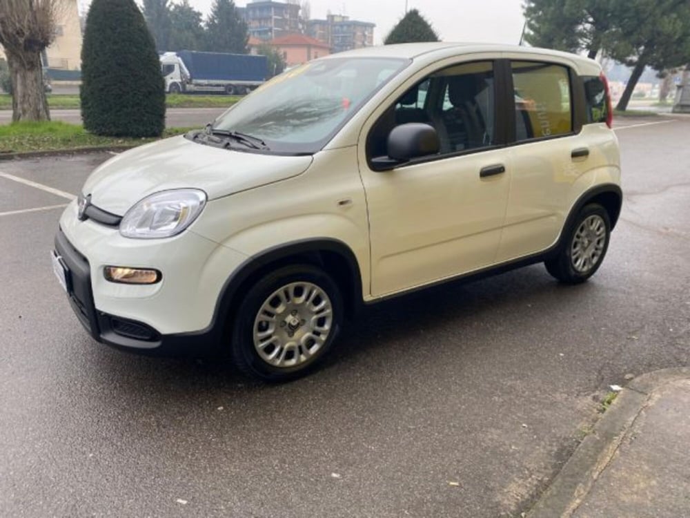 Fiat Panda nuova a Milano (6)