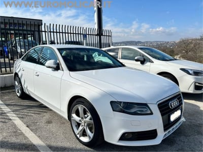 Audi A4 2.0 TDI 143CV F.AP. Advanced  del 2008 usata a Busso