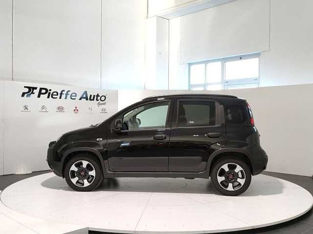 Fiat Panda Cross usata a Teramo (2)