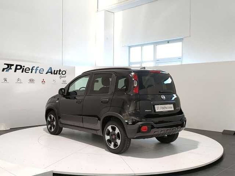 Fiat Panda Cross usata a Teramo (3)