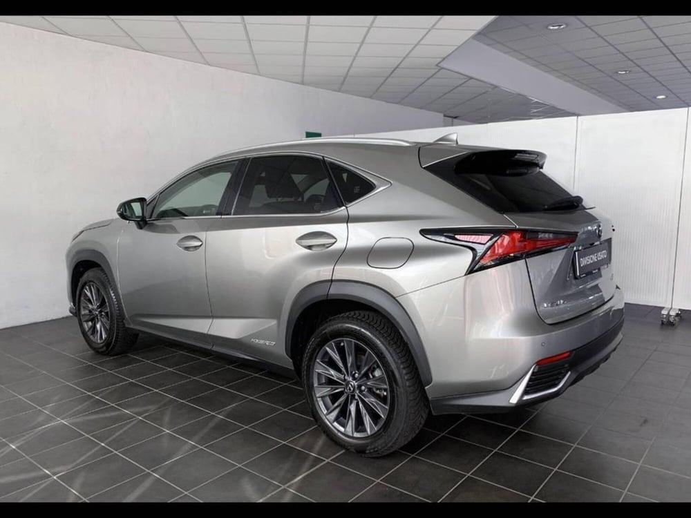 Lexus NX nuova a Torino (2)