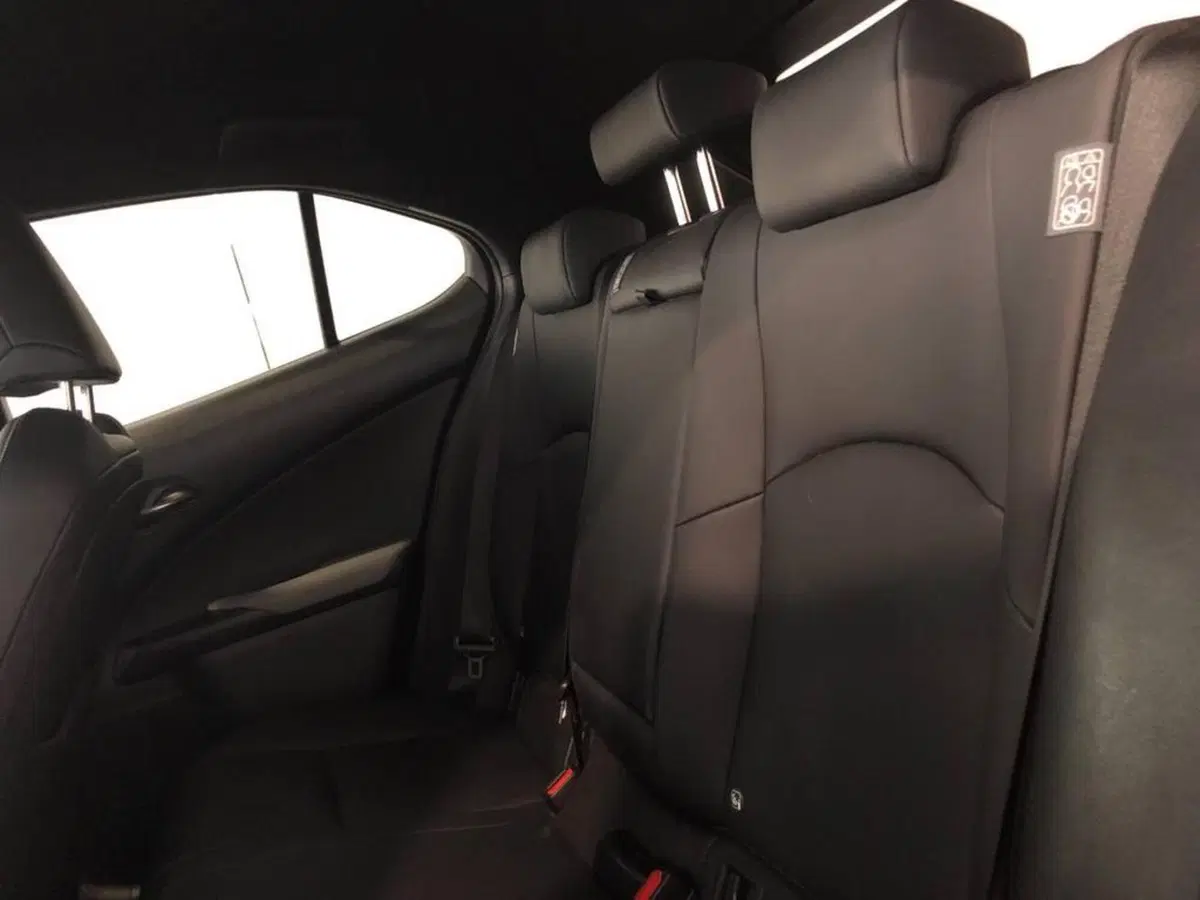 Lexus UX nuova a Torino (12)